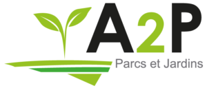 logo-a2p