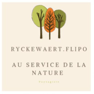 logo ryckewaert flipo